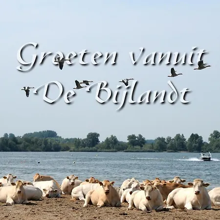 De Tol * Tolkamer