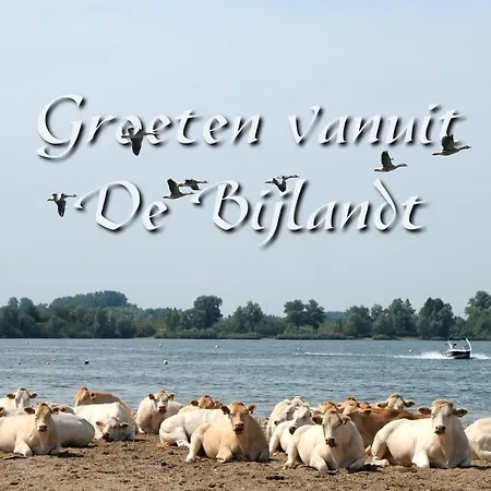 De Tol * Tolkamer